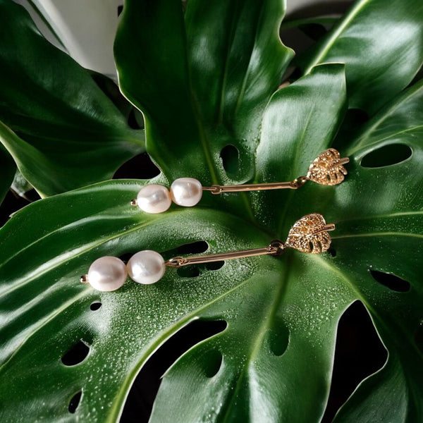 Pearl Monstera - Duestelle Italia